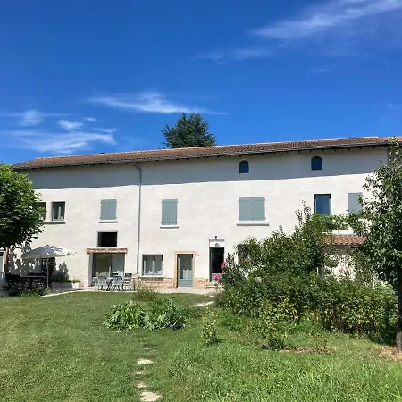 Ancienne Ferme 16p Proche A46 Villa Reyrieux
